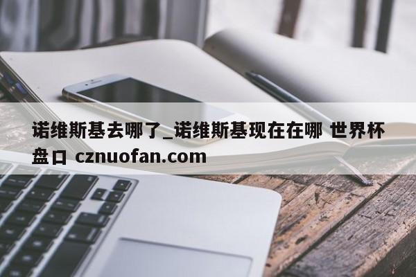 诺维斯基去哪了_诺维斯基现在在哪 世界杯盘口 cznuofan.com